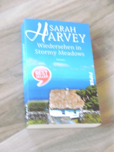 Wiedersehen stormy meadows - stormy,